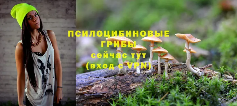 Галлюциногенные грибы Cubensis  Прохладный 